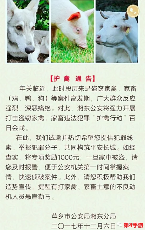 爆炒通感双胞胎小狗:一对神奇的小狗兄弟如何在社交媒体上引发热议与关注,成为宠物界的新星 爆炒通感双胞胎小狗:一对神奇的小狗兄弟如何在社交媒体上引发热议与关注,成为宠物界的新星