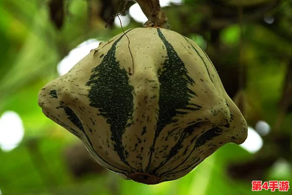植物大战僵尸2:飞碟瓜实战效能与特色技能全面评测,解锁新关卡必备神器! 植物大战僵尸2:飞碟瓜实战效能与特色技能全面评测,解锁新关卡必备神器!