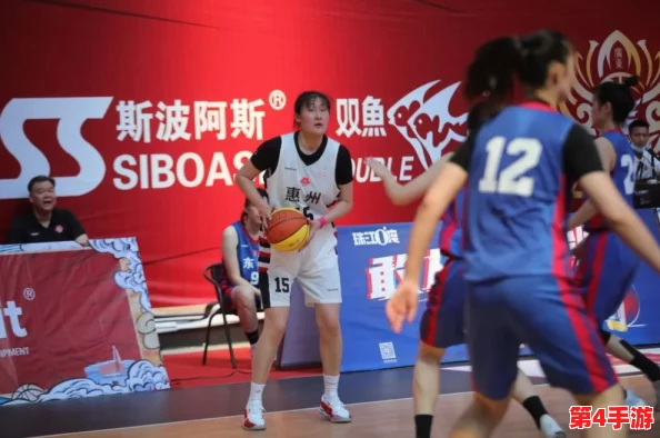 高中女篮比赛盛轮轩小说：青春热血交锋，赛场上演梦想与友谊的精彩对决