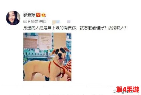男女也剪视频网站吃瓜，网友热议新趋势：短视频平台如何改变我们的娱乐消费方式与社交互动体验
