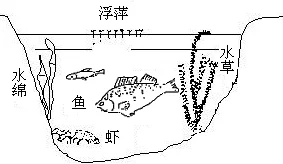丰满的大隂户近距离特写：揭示其在生态系统中的重要性与保护现状分析