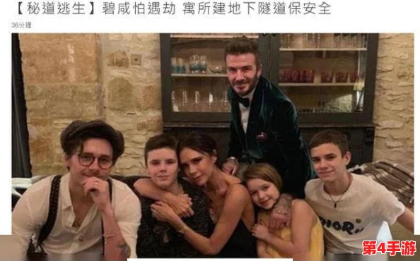 性爱怡红院：揭示现代都市中隐秘的情感与欲望交织的场所及其社会影响