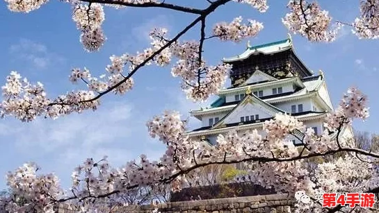www,XXX69 japan：探讨日本文化与现代科技交融下的网络现象及其对社会的影响