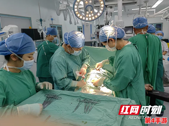 八重神子被焊出白水怎么办?玩家们纷纷支招应对这一突发状况的解决方案与建议 八重神子被焊出白水怎么办?玩家们纷纷支招应对这一突发状况的解决方案与建议