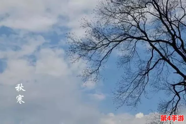 坤坤寒进定里:在这个寒冷的季节,如何找到内心的温暖与宁静成为了我们共同的追求 坤坤寒进定里:在这个寒冷的季节,如何找到内心的温暖与宁静成为了我们共同的追求