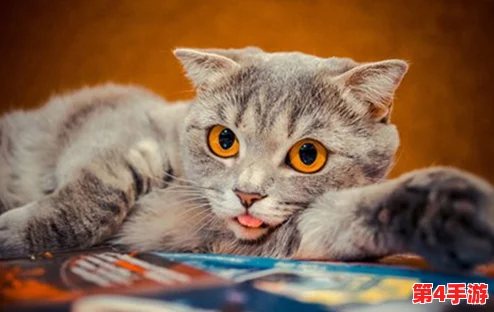 成人猫咪最新地域网名是什么啥？内部消息曝光，引发粉丝热议！