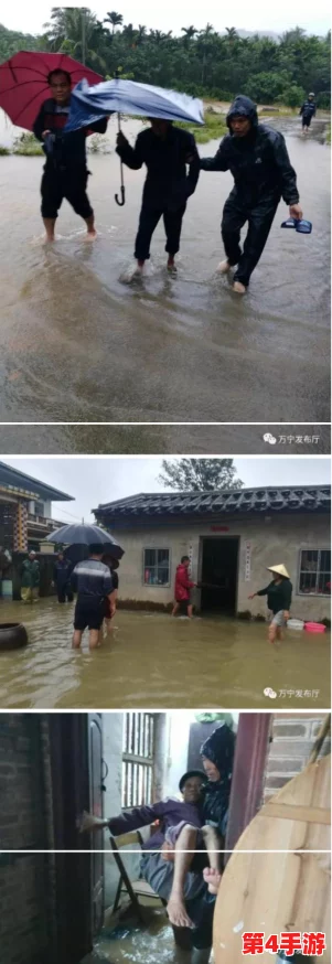 和部长出差遇大暴雨：险中求生的智慧与勇气之抉择