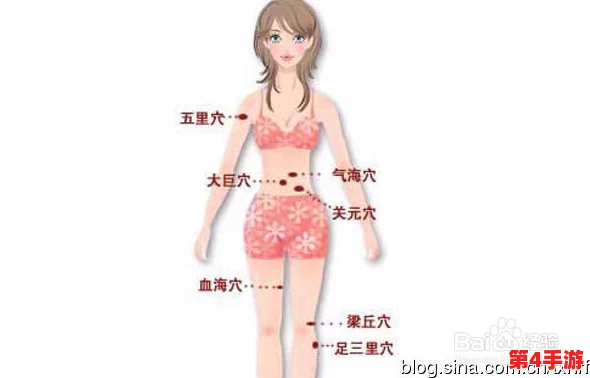 女人的前四后八是指什么？了解女性魅力与身材比例的最佳方式，提升你的时尚感与自信心！
