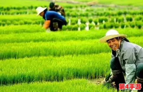 耕种妈妈肥沃的土地在哪个地方?网友热议:是家乡的田野,还是心灵深处的那片净土? 耕种妈妈肥沃的土地在哪个地方?网友热议:是家乡的田野,还是心灵深处的那片净土?