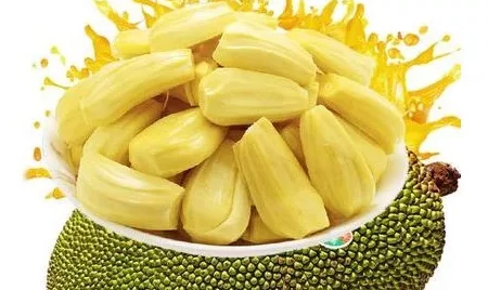 菠萝菠萝蜜视频：探讨其文化背景与在现代社会中的影响力与传播方式分析