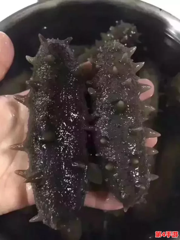 鱿鱼最新地域by:全球捕捞量激增,生态影响与可持续发展面临严峻挑战 鱿鱼最新地域by:全球捕捞量激增,生态影响与可持续发展面临严峻挑战