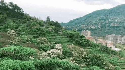 色一五月:多彩生活的绚丽篇章,展现五一假期的独特魅力与精彩活动 色一五月:多彩生活的绚丽篇章,展现五一假期的独特魅力与精彩活动