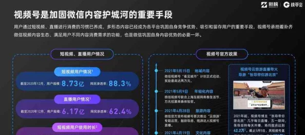 蜜桃视频com.www：网友热议其内容丰富性与用户体验，是否能成为新一代视频平台的领军者？