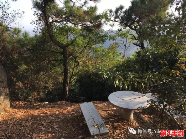 奇迹暖暖2月17日微信挑战揭秘：苍穹之鹰套装集结，赢取独家钻石福利大放送！