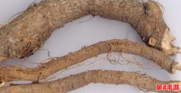 黄金网站软件app大全视频:最新应用推荐与使用技巧分享,助你轻松找到最优质的资源平台 黄金网站软件app大全视频:最新应用推荐与使用技巧分享,助你轻松找到最优质的资源平台