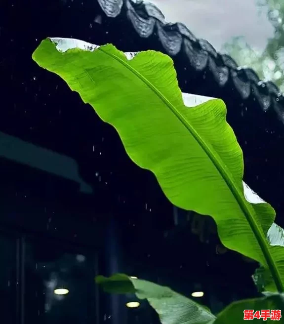 雨打芭蕉电影免费观看高清：探讨其艺术价值与文化意义的深度分析与观众反响研究