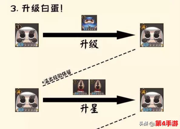 阴阳师萌新进阶之路:新服开荒必备策略与高效成长技巧全攻略 阴阳师萌新进阶之路:新服开荒必备策略与高效成长技巧全攻略