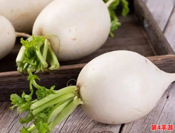 小南吃长门萝卜：这道美食不仅口感鲜嫩，还富含丰富的营养成分，深受当地居民喜爱