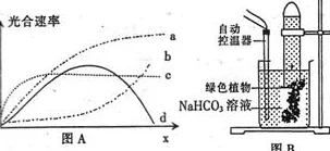 钢手轮×c:基于有限元分析的钢手轮结构优化设计与性能研究 钢手轮×c:基于有限元分析的钢手轮结构优化设计与性能研究