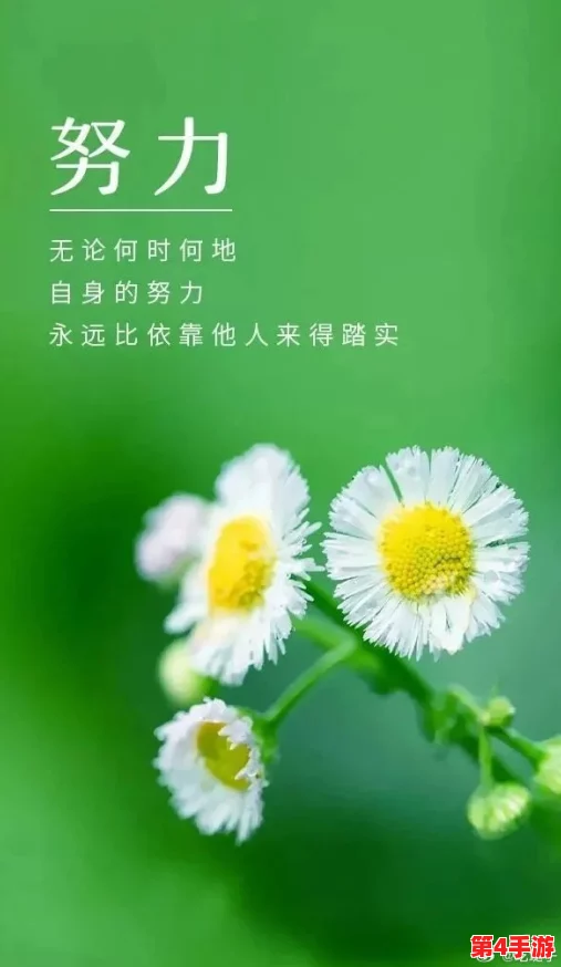 t66t今天更新,积极向上,努力拼搏,每一步都是向前迈进的动力 t66t今天更新,积极向上,努力拼搏,每一步都是向前迈进的动力