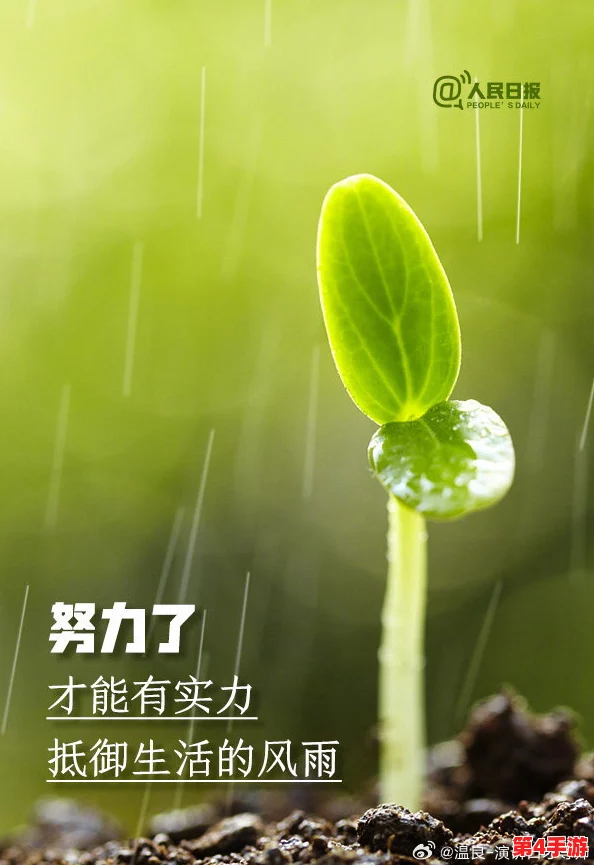 t66t今天更新,积极向上,努力拼搏,每一步都是向前迈进的动力 t66t今天更新,积极向上,努力拼搏,每一步都是向前迈进的动力