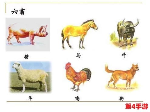 欧美人与牲禽动交com:分析其在文化背景、法律争议及社会影响等方面的复杂性与争议性问题 欧美人与牲禽动交com:分析其在文化背景、法律争议及社会影响等方面的复杂性与争议性问题