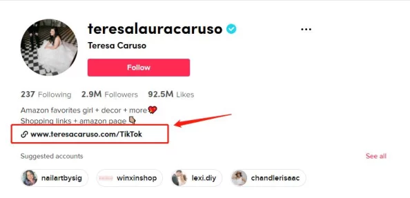 又更又租俄罗斯shopify，网友热议：这是否意味着更多商机还是面临新的挑战？