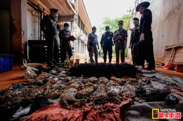 缅北禁区:解密让人触目惊心的武装冲突、地方治理失效及人道主义危机的背后真相 缅北禁区:解密让人触目惊心的武装冲突、地方治理失效及人道主义危机的背后真相