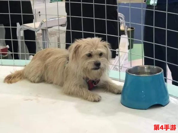 果冻影视:一个专注于提供高质量影视内容的平台,致力于为用户带来丰富多样的观影体验与娱乐享受 果冻影视:一个专注于提供高质量影视内容的平台,致力于为用户带来丰富多样的观影体验与娱乐享受