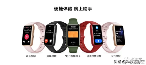探索不思议迷宫：揭秘支付宝联动新组合，独特玩法与福利深度剖析